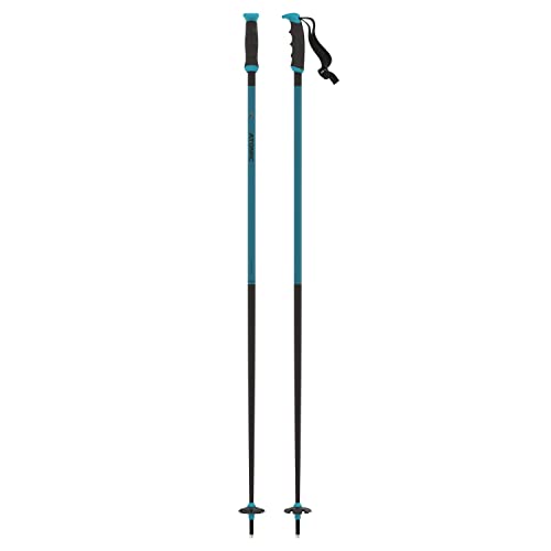 Salomon Unisex-Adult Redster X Alpine Poles, Teal Blue, 125