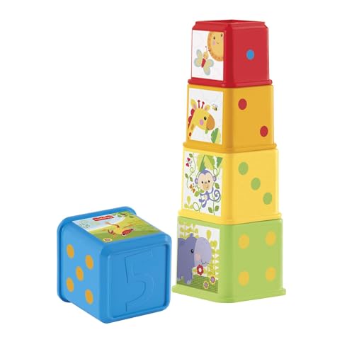 FISHER-PRICE Stack & Explore Blocks