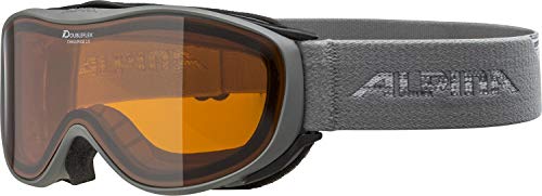 ALPINA CHALLENGE 2.0 Skibrille