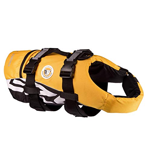 EzyDog DFD dog swim vest