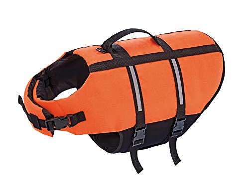 Nobby swimming aid for dogs