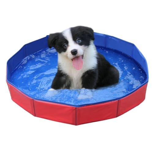 Faltbar Hundepool,Hundepool für Kleine Hunde,Hunde schwimmbecken,PVC Hundepool,Schwimmbad...