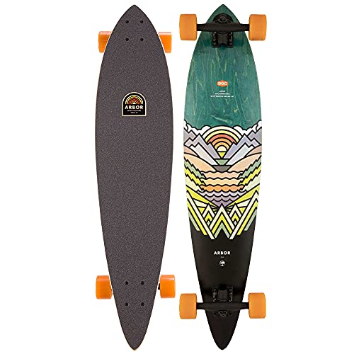 Arbor Artist Fish Pintail Longboard