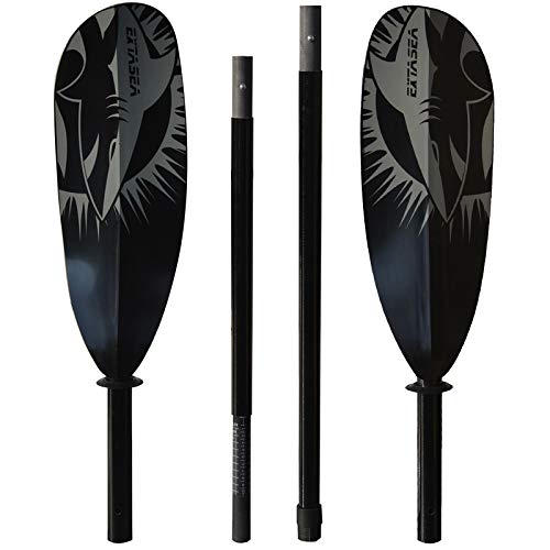 ExtaSea Tour Vario fiberglass double paddle