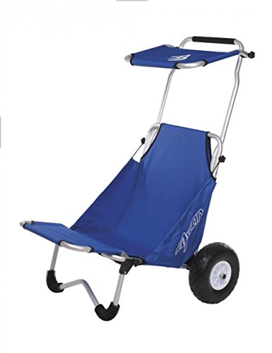 Ascan beach buggy transport trolley