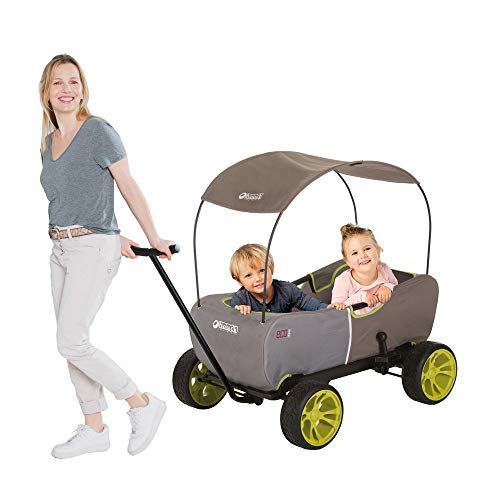 hauck Bollerwagen für 2 Kinder Eco Mobil ab 2 Jahren bis 50 kg, mit Sitzpolster & Dach,...