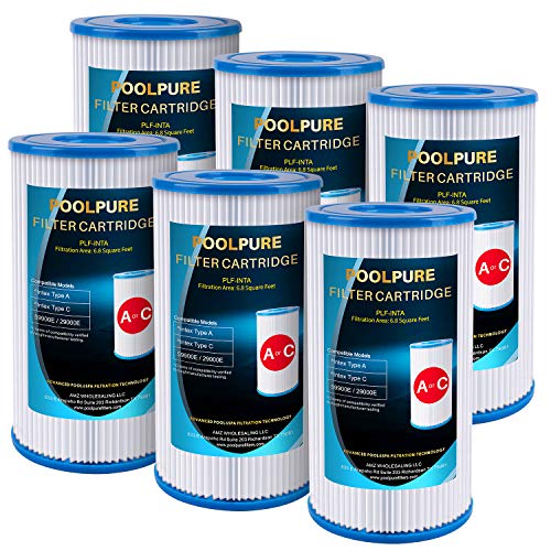 POOLPURE Filter für Typ A oder C, kompatibel mit Intex 29000E/59900E, Easy Set...