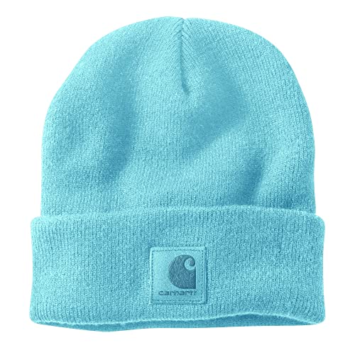 Carhartt Beanie Hat, Watch Hat, Work Hat, Powder Blue