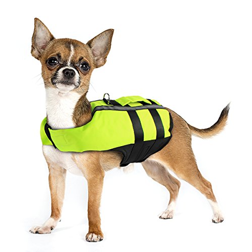 Namsan dog life jacket