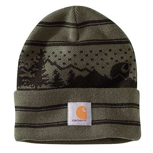 Carhartt Unisex Hat Beanie mit Bündchen und Outdoor-Grafik - Mütze, One Size, Basil