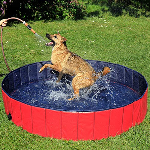 lionto Hundepool faltbar aus kratzfestem PVC-Material, Ø 160 cm, Höhe 30 cm,...