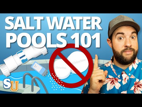 Salt Water Pool Maintenance for Beginners | Swim University