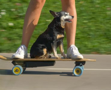 e-longboard-header