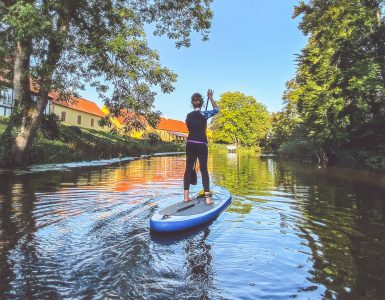 fanatic_sup_boards