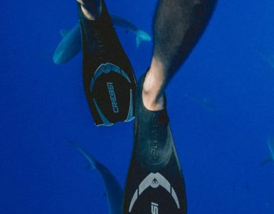 diving fins